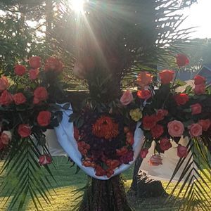 Meet your Posher, Marty